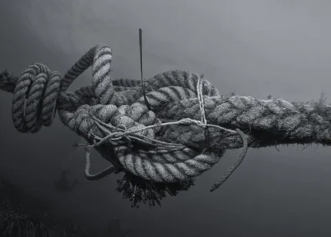 frayed knot